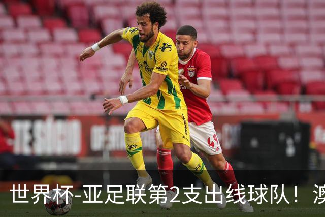 世界杯-亚足联第2支出线球队！澳大利亚0-0巴拉圭获小组第2