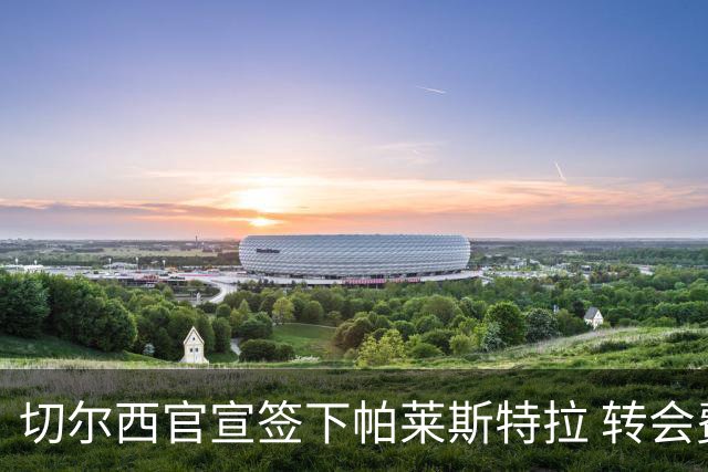 切尔西官宣签下帕莱斯特拉 转会费超5500万欧签约7年